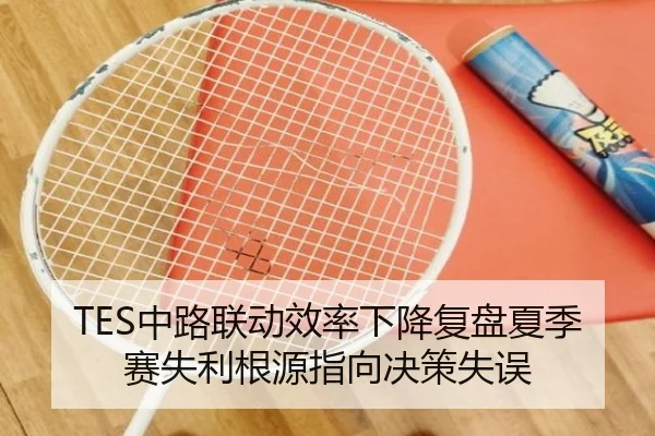 TES中路联动效率下降复盘夏季赛失利根源指向决策失误
